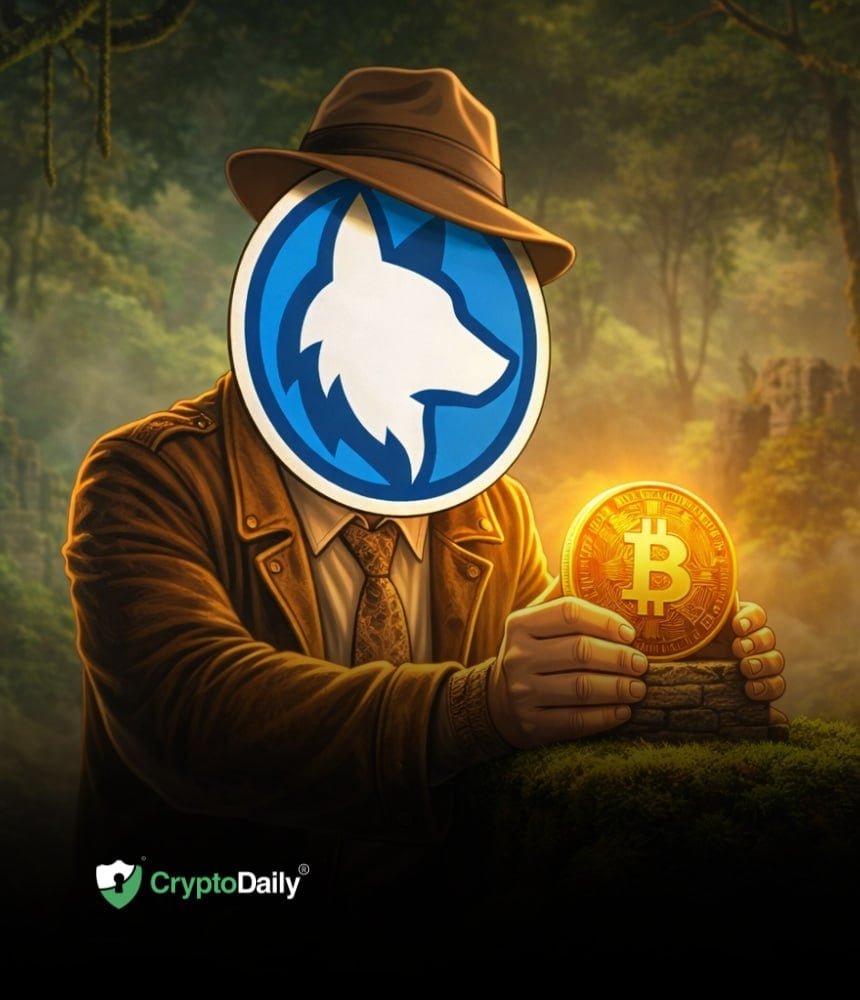 Husky Inu (HINU) Completes Move To $0.00024023  As Bitcoin (BTC) Targets $90,000