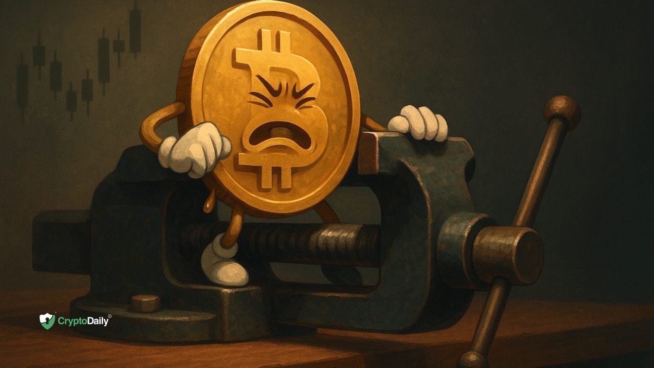 Bitcoin’s Supply Squeeze: Are Long-Term Holders Tightening the Market?