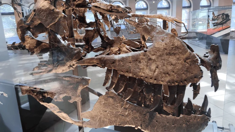 A 66-Million-Year-Old Tooth Shows T. Rex Ran Almost as Warm as a Human Body