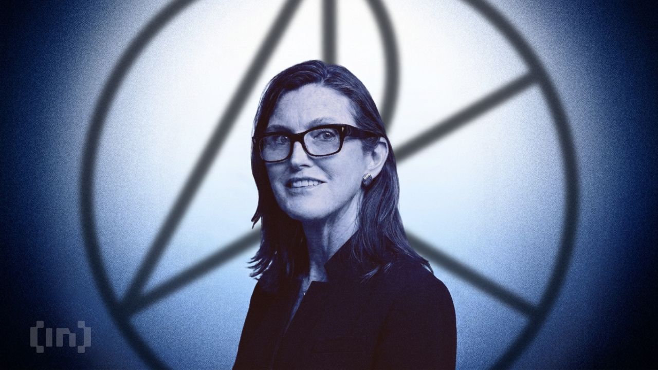 After Buying Circle Through a 42% Drop, Cathie Wood Says Analysts Cannot Fathom It