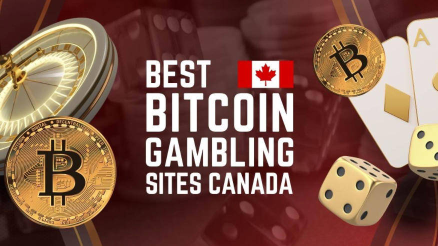 10 Best Bitcoin Gambling Sites Canada – Where to Gamble With BTC in 2025