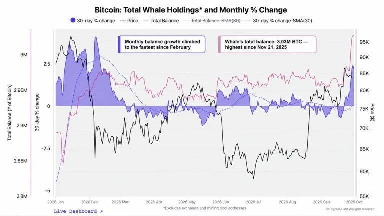 Cryptoquant Says Bitcoin Whales Are Back as a Mystery Buyer Grabs $97M