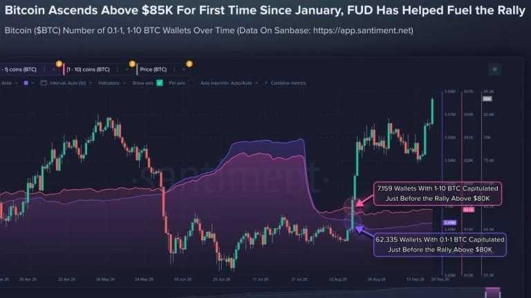 Smaller Bitcoin Holders Sold Before $85K Rally as 69,494 Wallets Exit
