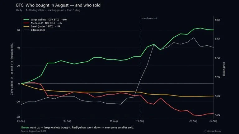 Cryptoquant: Bitcoin Price Rally Hid a 60,000 BTC Whale Buying Spree