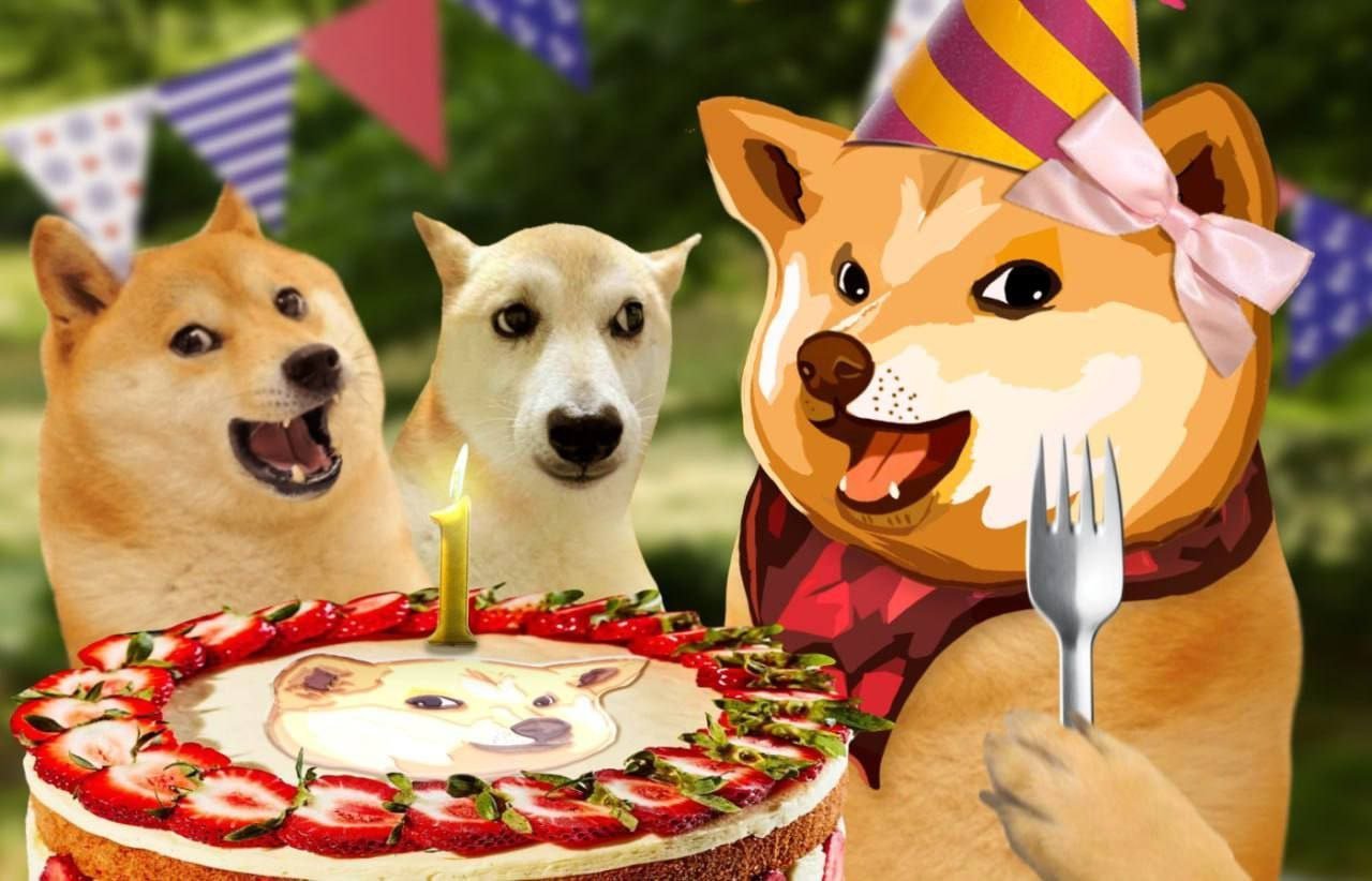 The Memecoin That Didn't Vanish