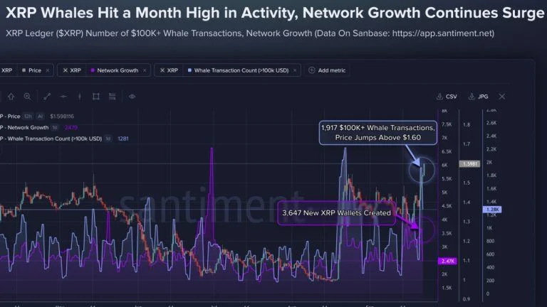XRP Tops $1.60 as 1,917 Whale Transactions Hit Monthly High