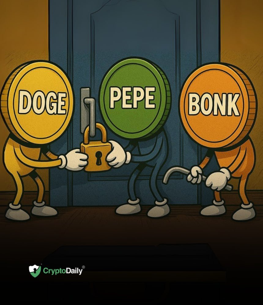 Dogecoin (DOGE), Pepe (PEPE), and Bonk (BONK): Did You Secure Your Entry Points?