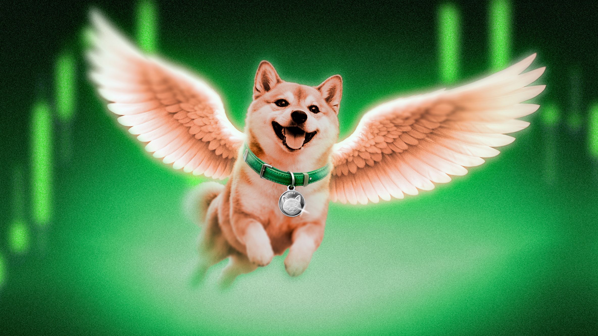 Shiba Inu (SHIB) Breaks 11-Month Downtrend After Japan Approval