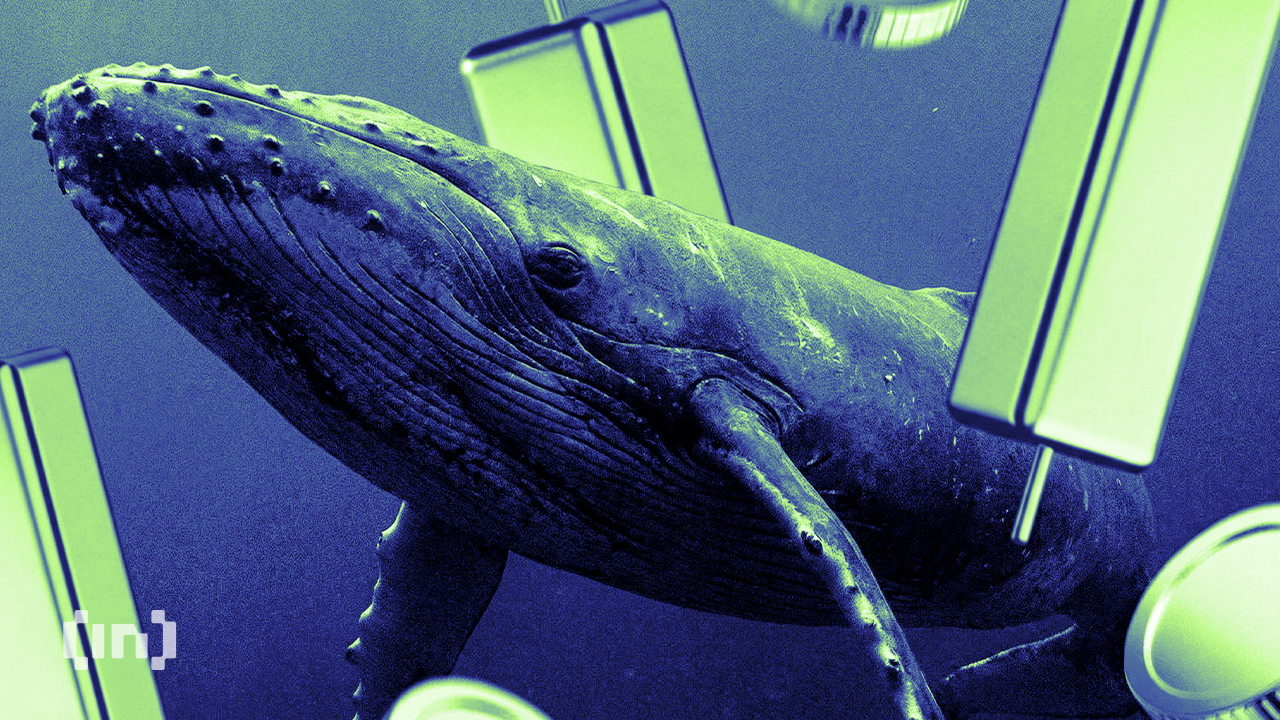 3 Altcoins Crypto Whales Are Buying In September 2026