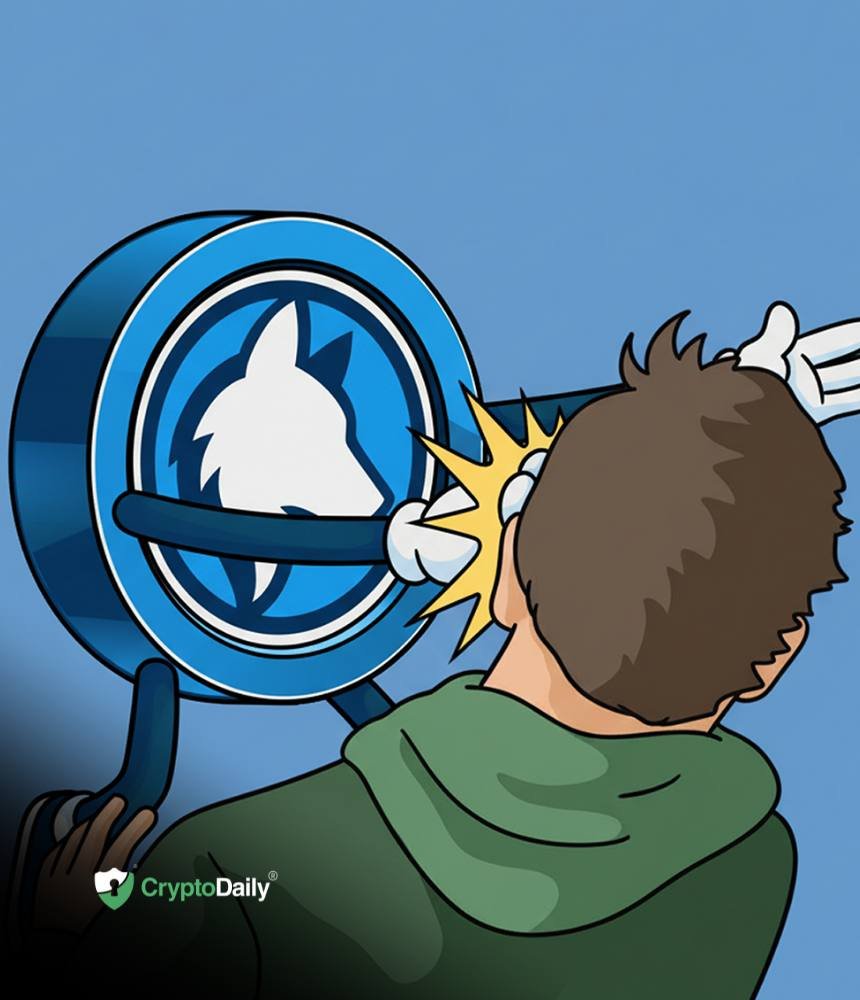 Husky Inu (HINU) Completes Move To $0.00020991