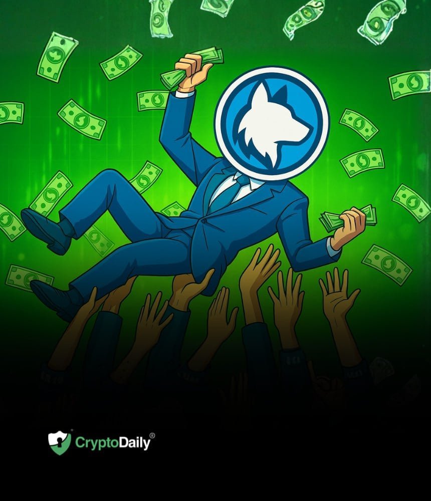 Husky Inu (HINU) Raises $905,239, Set For Move To $0.00022681