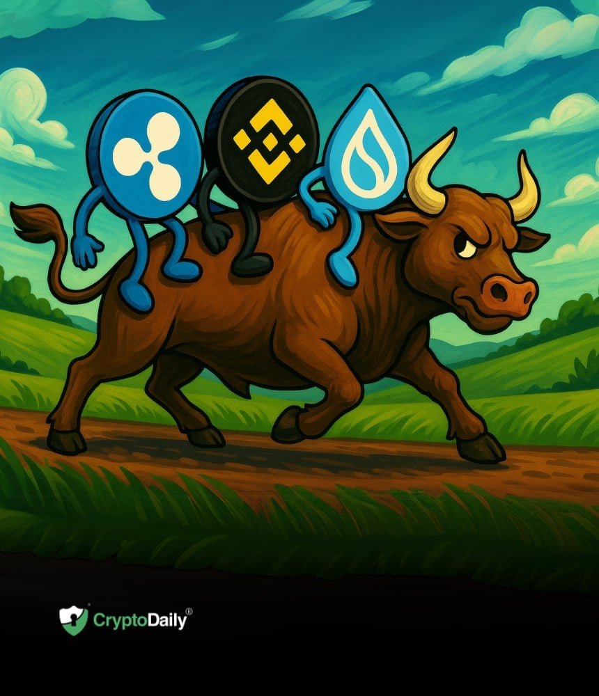 The best altcoin charts for this bull market: Ripple (XRP), Binance Coin (BNB), and Sui (SUI)