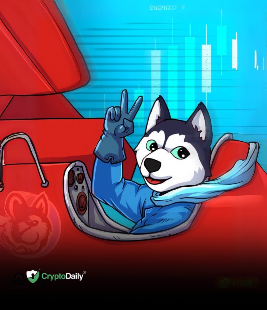 How Is Husky Inu (HINU)’s Pre-Launch Phase Progressing?