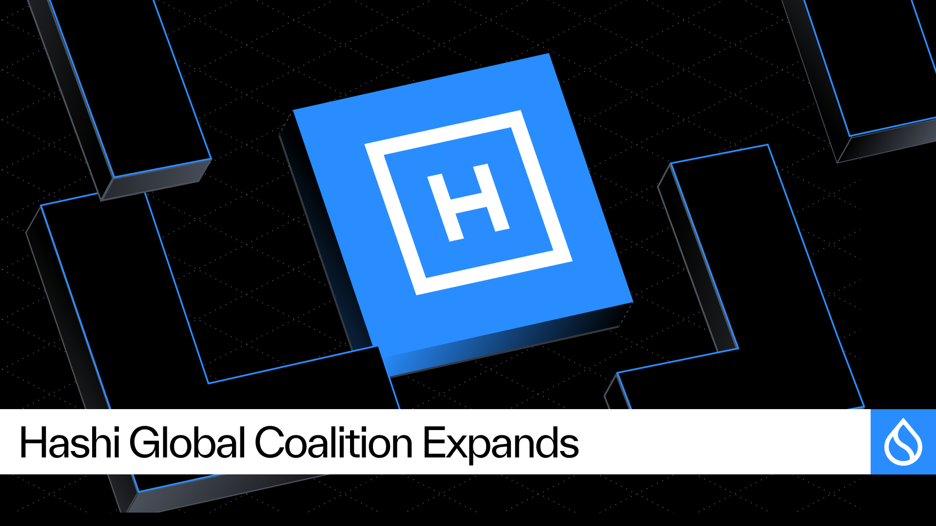 Sui News: Cumberland, Fluid, and SwissBorg Join Institutional Coalition on Hashi Ahead of July Global Testnet