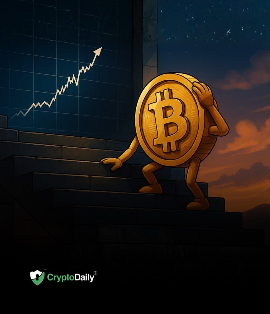 Last Bitcoin (BTC) Dip Before New All-Time High?