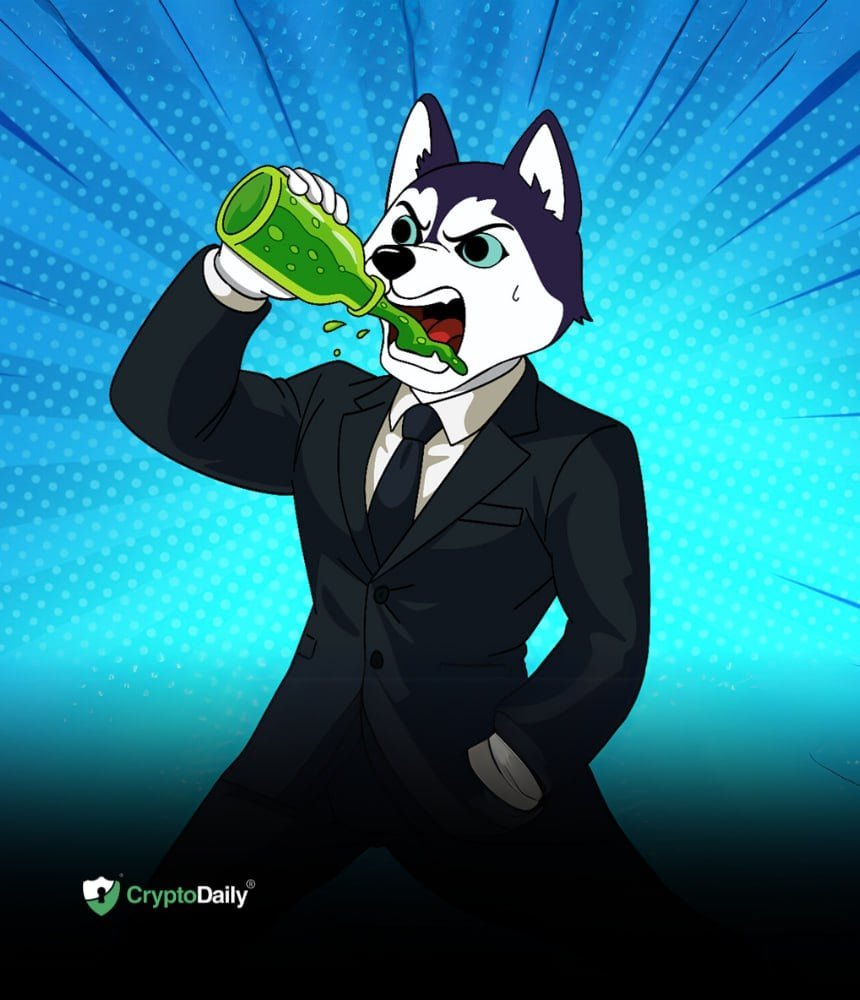 Husky Inu (HINU) vs Trump (TRUMP): How Do The Two Stack Up?