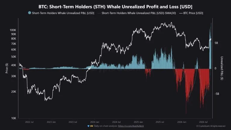 Bitcoin’s $9.07B Whale Profit Record Puts Rally Floor to Test