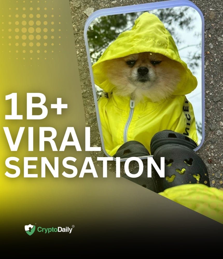 Meet KORI: The Viral 1-Billion-View Dog Fueling the Next Big Meme Coin on Solana