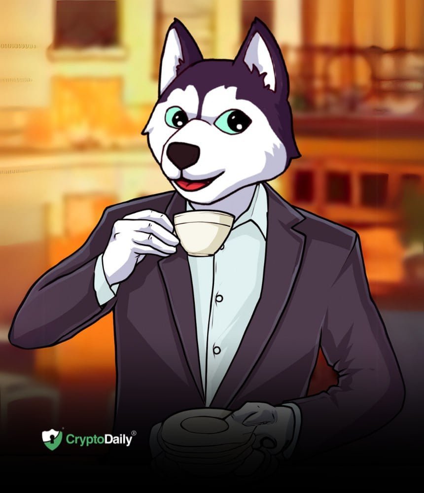 Husky Inu (HINU) Set For Price Jump As Markets Rally