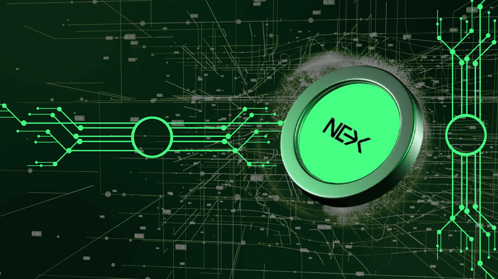 3 Picks for the Best Crypto Presale to Invest in a Competitive Market: Nexchain, Mind of PEPE & BTC Bull