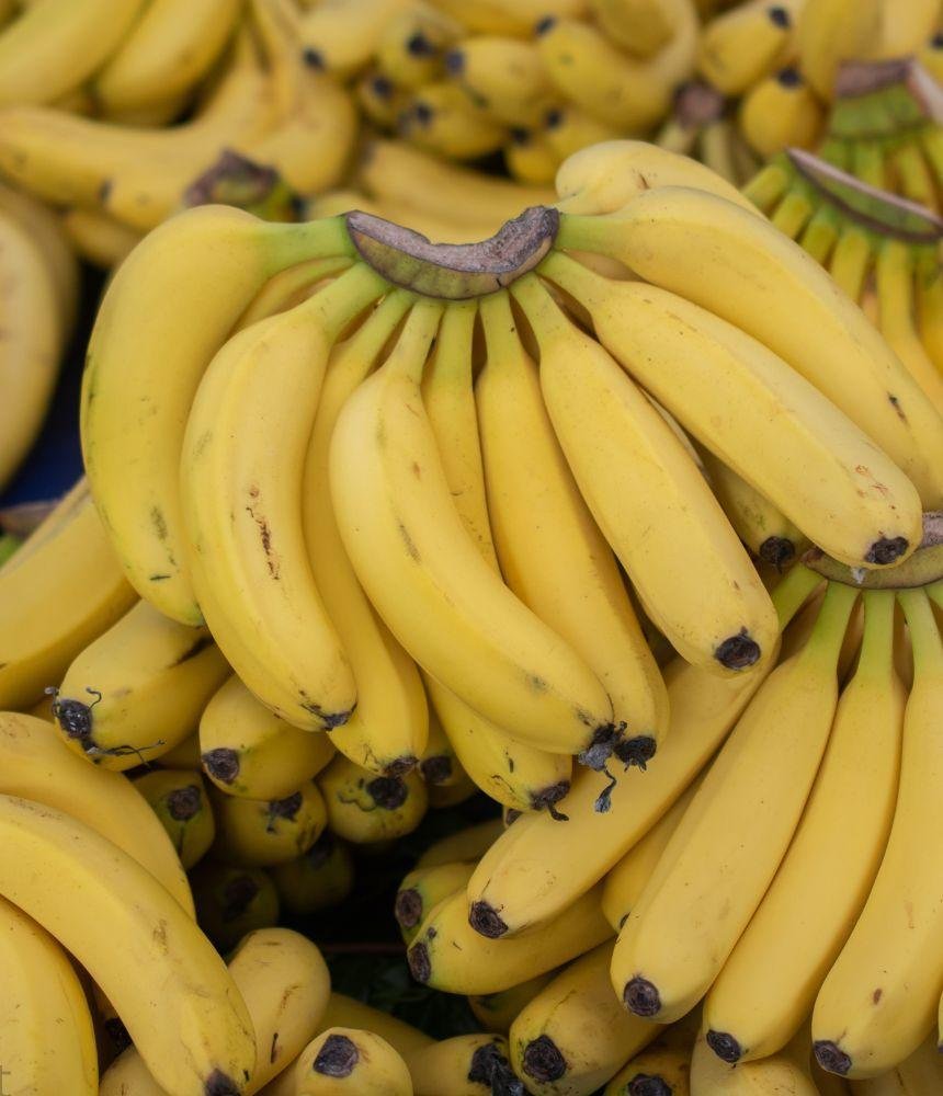 The TON Blockchain Goes Bananas, Giving Birth To The Best Tokenization Model In Gaming