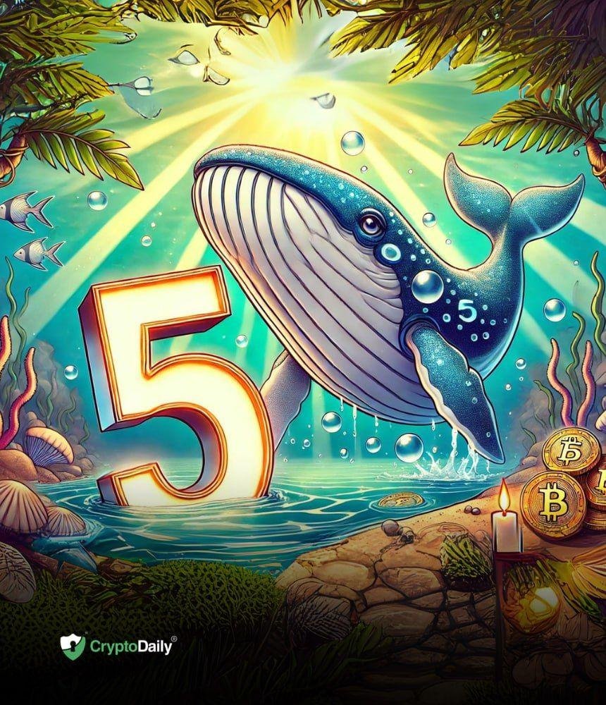 Crypto Whales’ Bullish Bets: 5 Altcoins They’re Stocking Up for the Next Upcoming Market Cycle