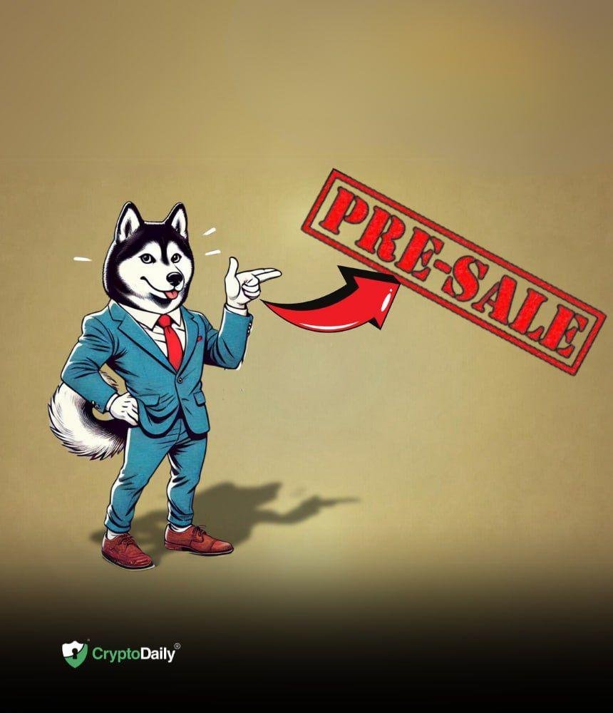 Husky Inu ($HINU) Presale Generates Over $230,000