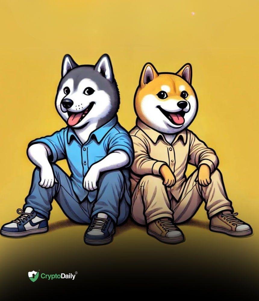 Shiba Inu’s ($SHIB) Best Friend, Husky Inu ($HINU) Set for Explosive Growth This Year